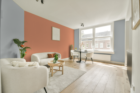 apartement met de kleur S 1502-b op de muren