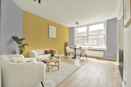 apartement met de kleur S 1502-r50b op de muren