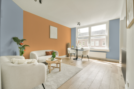 apartement met de kleur S 1510-r80b op de muren