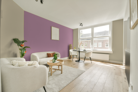 apartement met de kleur S 1510-y op de muren