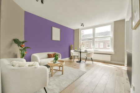 apartement met de kleur S 1510-y10r op de muren