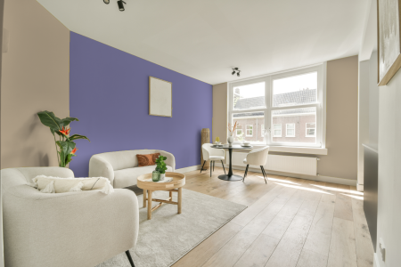 apartement met de kleur S 1510-y20r op de muren