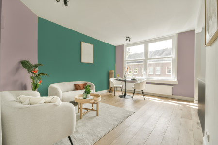 apartement met de kleur S 1510-y90r op de muren