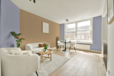 apartement met de kleur S 1515-r60b op de muren