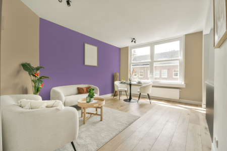 apartement met de kleur S 1515-y10r op de muren