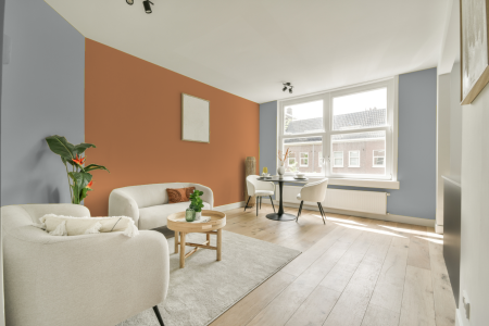 apartement met de kleur S 2002-b op de muren