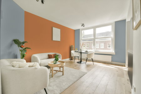 apartement met de kleur S 2005-b op de muren