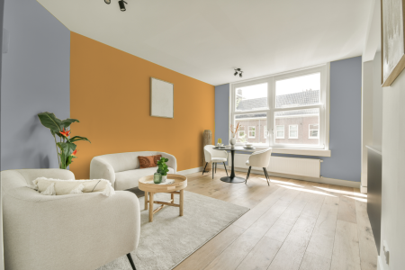 apartement met de kleur S 2005-r70b op de muren