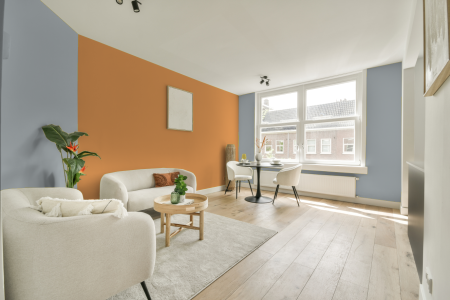 apartement met de kleur S 2005-r90b op de muren