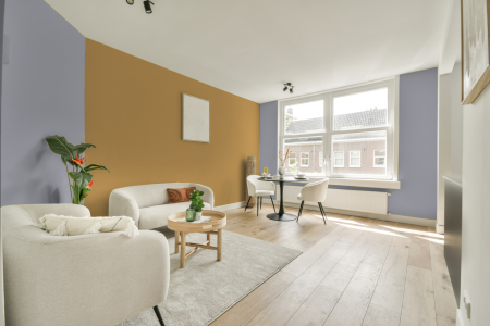 apartement met de kleur S 2010-r60b op de muren