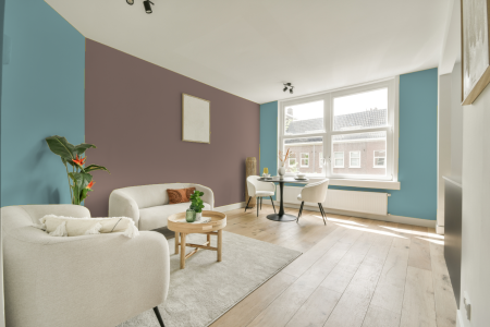 apartement met de kleur S 2020-b30g op de muren