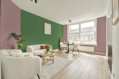 apartement met de kleur S 2020-r op de muren