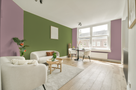 apartement met de kleur S 2020-r10b op de muren