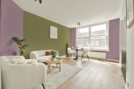 apartement met de kleur S 2020-r20b op de muren