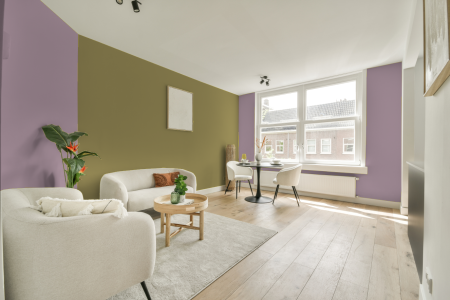 apartement met de kleur S 2020-r30b op de muren