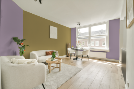 apartement met de kleur S 2020-r40b op de muren