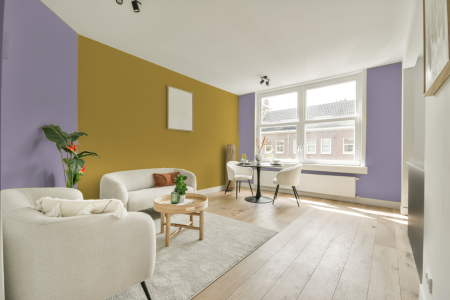 apartement met de kleur S 2020-r50b op de muren