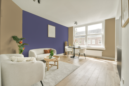 apartement met de kleur S 2020-y10r op de muren