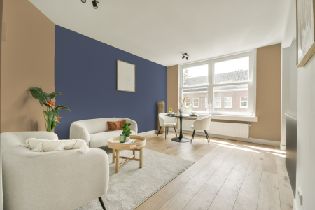 apartement met de kleur S 2020-y20r op de muren