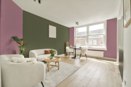 apartement met de kleur S 2030-r10b op de muren