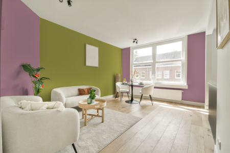 apartement met de kleur S 2030-r20b op de muren