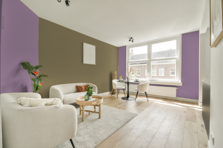 apartement met de kleur S 2030-r40b op de muren