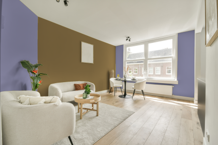 apartement met de kleur S 2030-r60b op de muren