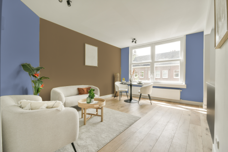 apartement met de kleur S 2030-r70b op de muren