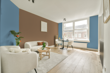 apartement met de kleur S 2030-r90b op de muren