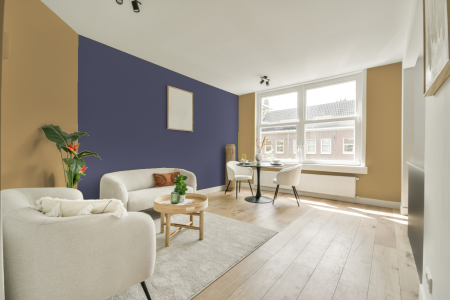 apartement met de kleur S 2030-y10r op de muren