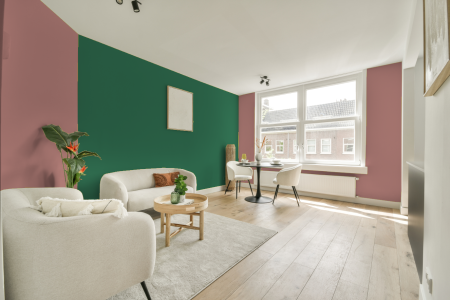 apartement met de kleur S 2030-y90r op de muren