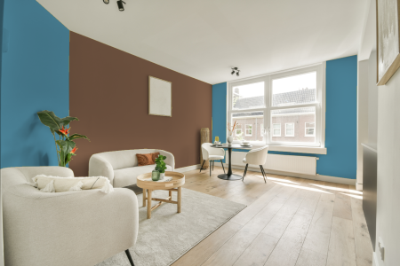 apartement met de kleur S 2040-b op de muren