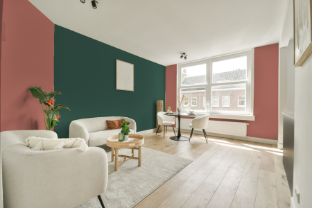 apartement met de kleur S 2040-y80r op de muren