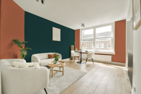 apartement met de kleur S 2050-y60r op de muren