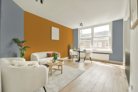 apartement met de kleur S 3005-r80b op de muren