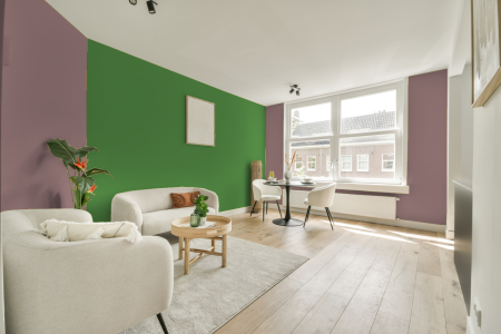 apartement met de kleur S 3020-r op de muren