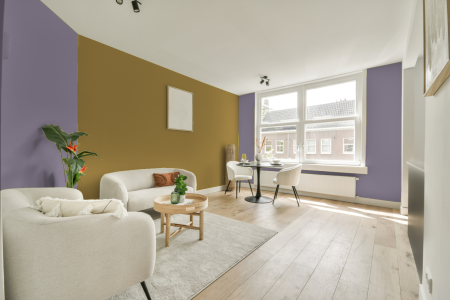 apartement met de kleur S 3020-r50b op de muren