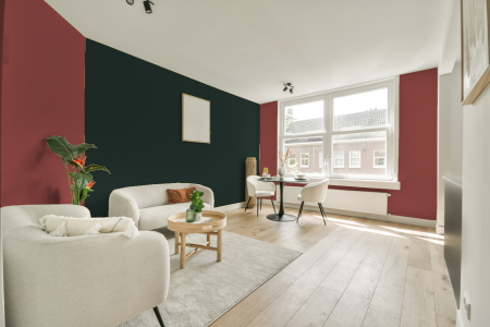 apartement met de kleur S 3050-y90r op de muren