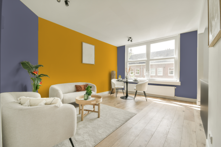 apartement met de kleur S 4020-r60b op de muren