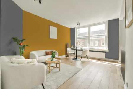 apartement met de kleur S 5000-n op de muren