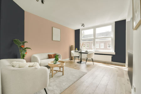 apartement met de kleur S 7502-b op de muren