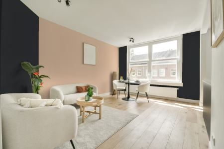 apartement met de kleur S 8502-b op de muren