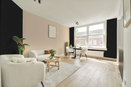 apartement met de kleur S 9000-n op de muren