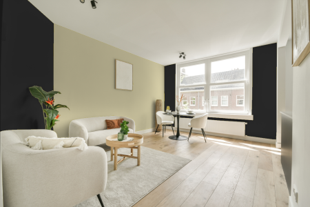 apartement met de kleur Ral 000 20 00 op de muren