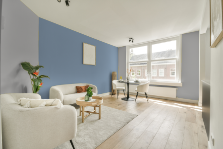 apartement met de kleur Ral 000 80 00 op de muren