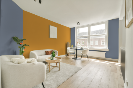 apartement met de kleur Ral 270 60 10 op de muren