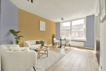 apartement met de kleur Ral 280 80 05 op de muren