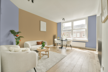 apartement met de kleur Ral 280 80 10 op de muren