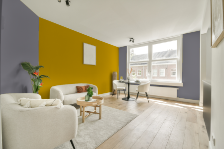 apartement met de kleur Ral 300 60 05 op de muren