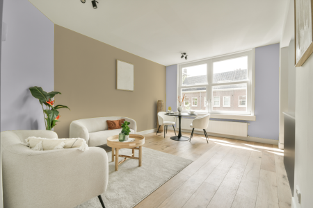 apartement met de kleur Ral 300 90 05 op de muren